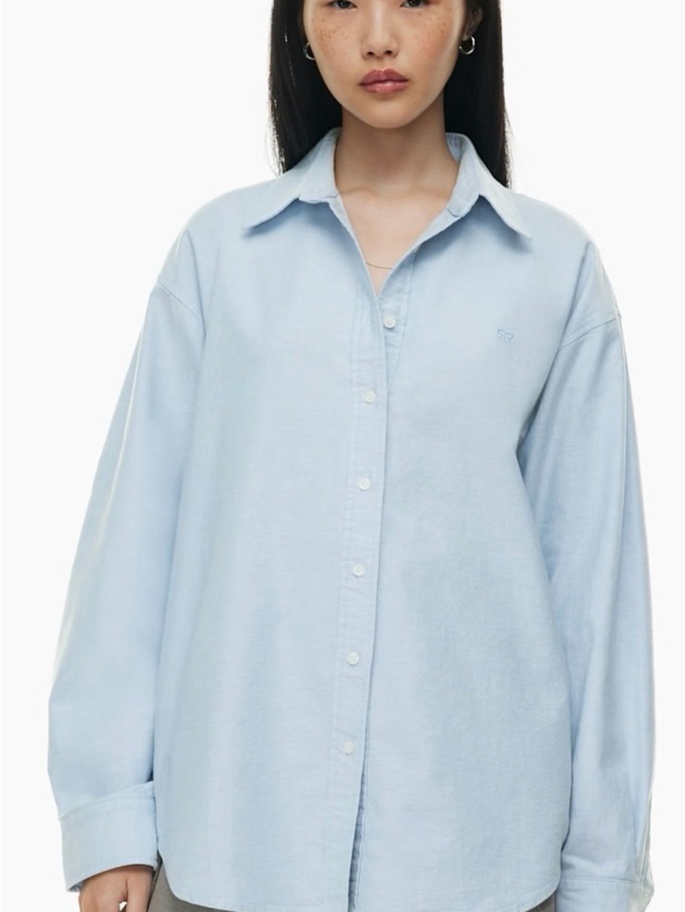 Aritzia Sundays Best Oxford Shirt